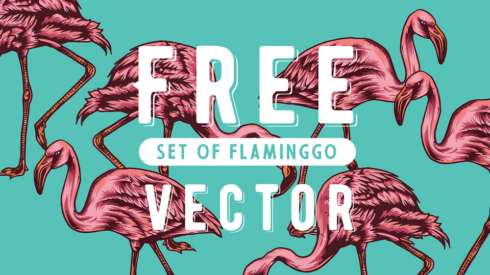 Free Set of Flaminggo Vector