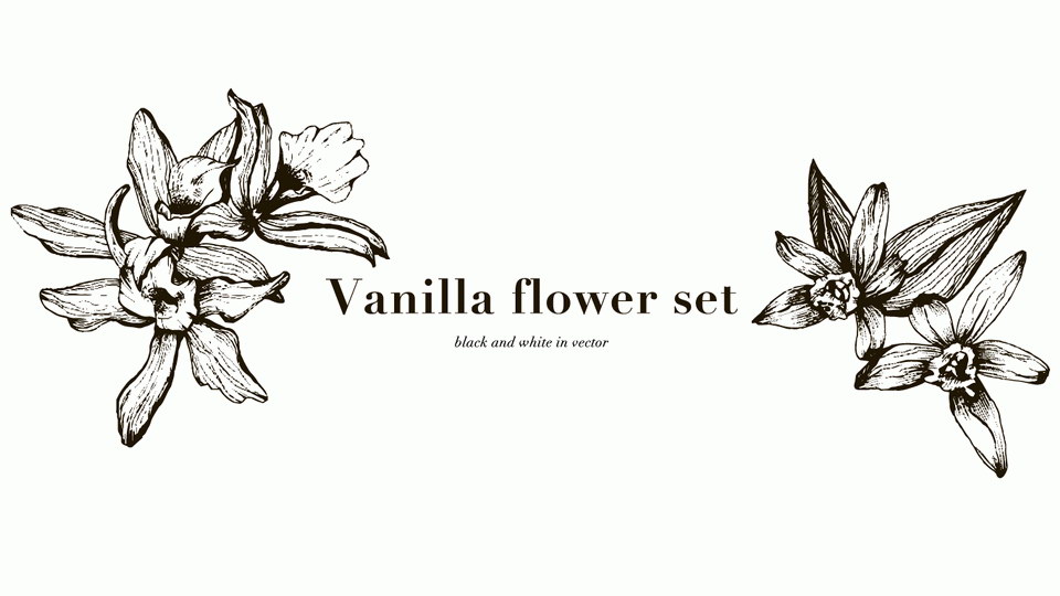 vanilla_flowers