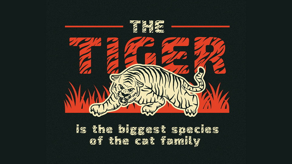Introducing the Tiger